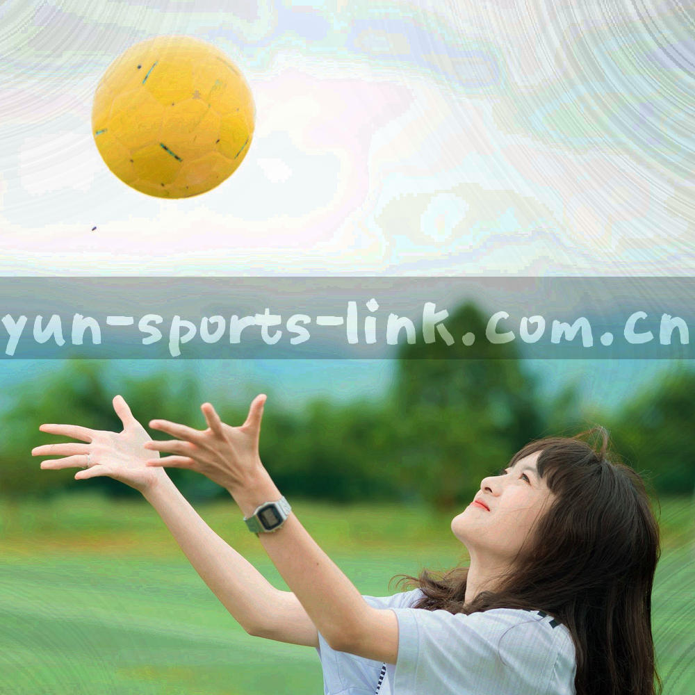 抽象网格矩阵图，四个版本单元沿对角线排列，部分单元格以橙色高亮